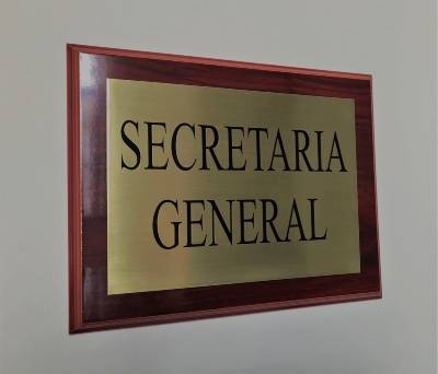 Placa secretaria